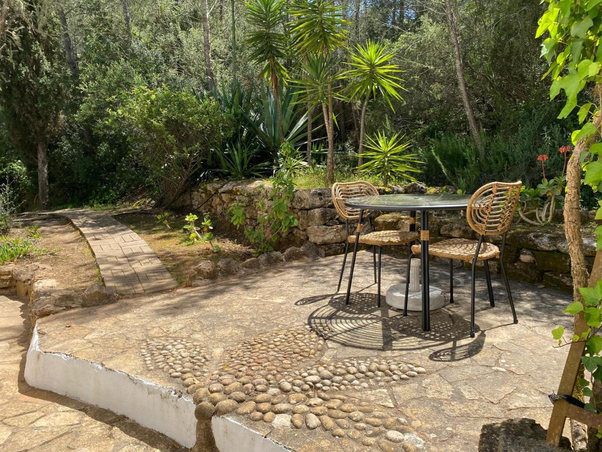 Can Iara Sant Miquel de Balansat Exteriör bild