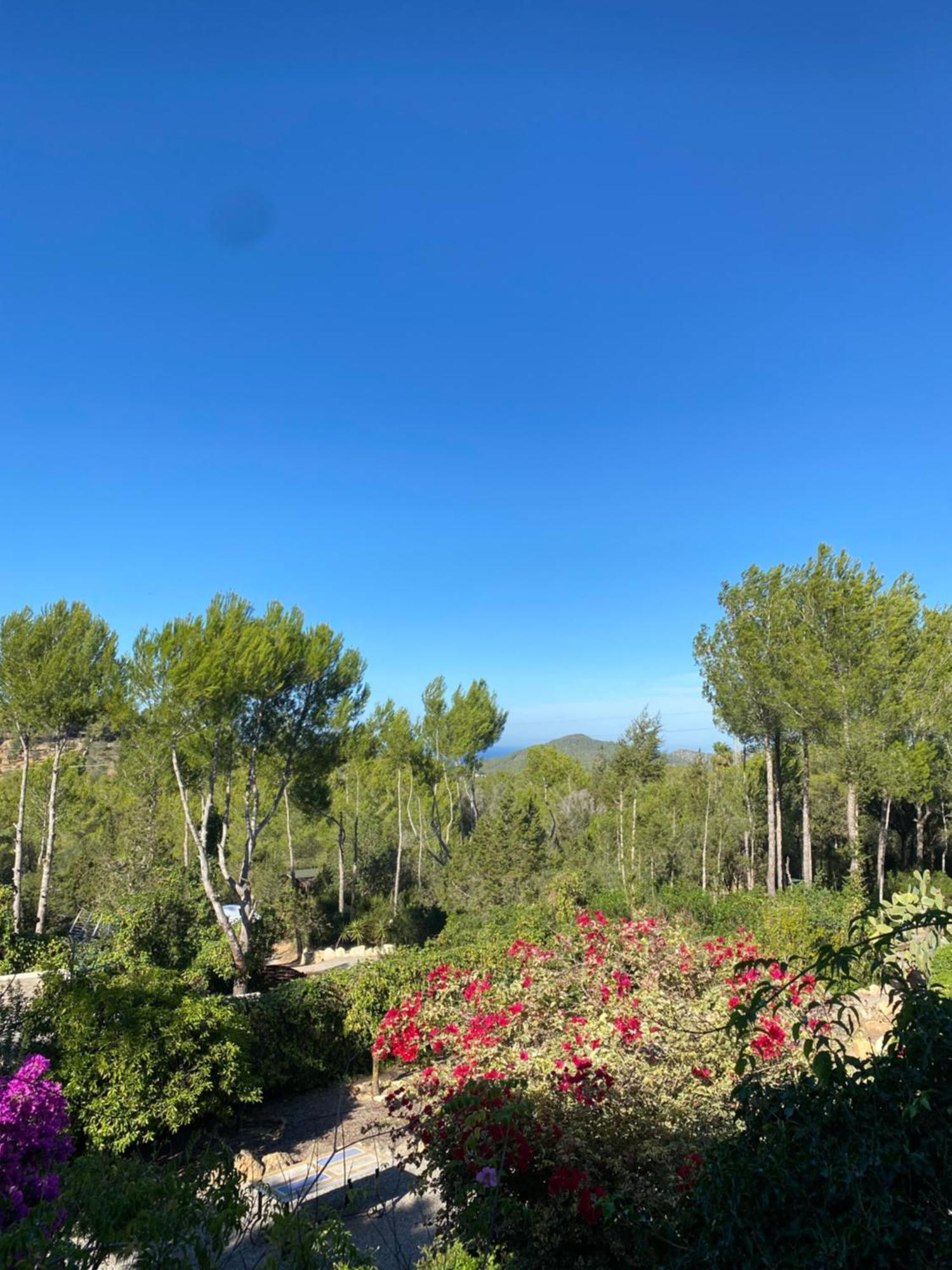Can Iara Sant Miquel de Balansat Exteriör bild